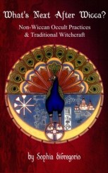 What's Next After Wicca? Non-Wiccan Occult Practices and Traditional Witchcraft 